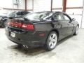 Pitch Black - Charger R/T Photo No. 5