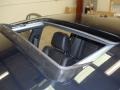 Pitch Black - Charger R/T Plus Photo No. 17
