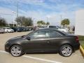 Black Oak Brown Metallic - Eos Executive Photo No. 4