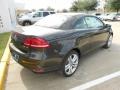 Black Oak Brown Metallic - Eos Executive Photo No. 7