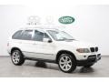 Alpine White - X5 3.0i Photo No. 1