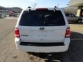 2010 White Suede Ford Escape XLT 4WD  photo #3