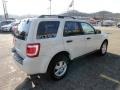 2010 White Suede Ford Escape XLT 4WD  photo #4