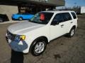 2010 White Suede Ford Escape XLT 4WD  photo #8