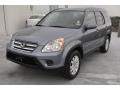 Pewter Pearl - CR-V SE 4WD Photo No. 3