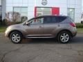 Tinted Bronze Metallic - Murano SL AWD Photo No. 3