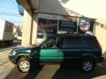 2001 Clover Green Pearl Honda CR-V Special Edition 4WD  photo #3