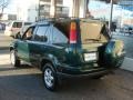 2001 Clover Green Pearl Honda CR-V Special Edition 4WD  photo #4