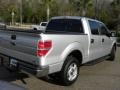 2010 Ingot Silver Metallic Ford F150 XLT SuperCrew  photo #11