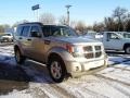 Bright Silver Metallic - Nitro SLT 4x4 Photo No. 8