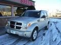 Bright Silver Metallic - Nitro SLT 4x4 Photo No. 18