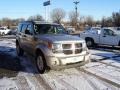 Bright Silver Metallic - Nitro SLT 4x4 Photo No. 20