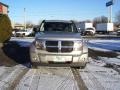Bright Silver Metallic - Nitro SLT 4x4 Photo No. 21