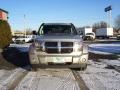 Bright Silver Metallic - Nitro SLT 4x4 Photo No. 22