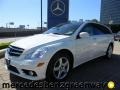 2010 Arctic White Mercedes-Benz R 350 4Matic  photo #1