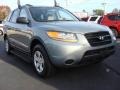 2009 Platinum Sage Hyundai Santa Fe GLS  photo #1