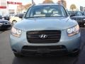 2009 Platinum Sage Hyundai Santa Fe GLS  photo #9