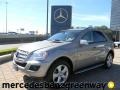 Pewter Metallic - ML 320 BlueTec 4Matic Photo No. 1