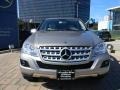 Pewter Metallic - ML 320 BlueTec 4Matic Photo No. 2