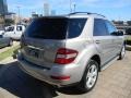 Pewter Metallic - ML 320 BlueTec 4Matic Photo No. 5