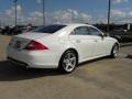 2009 Arctic White Mercedes-Benz CLS 550  photo #5