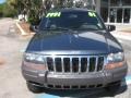 2001 Steel Blue Pearl Jeep Grand Cherokee Laredo  photo #7