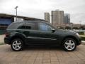 2008 Jade Green Metallic Mercedes-Benz ML 350 4Matic  photo #4