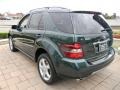 2008 Jade Green Metallic Mercedes-Benz ML 350 4Matic  photo #8