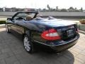 Black - CLK 350 Cabriolet Photo No. 8