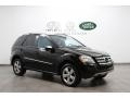 Black - ML 350 4Matic Photo No. 1