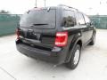 2012 Ebony Black Ford Escape XLT  photo #3