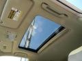 2006 Bamboo Pearl Lexus RX 330  photo #18