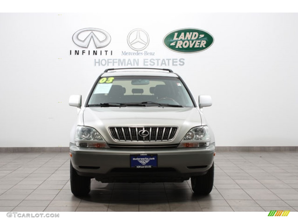 2003 RX 300 AWD - Millenium Silver Metallic / Black photo #3