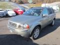 Willow Green Metallic - XC90 V8 AWD Photo No. 3