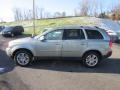 Willow Green Metallic - XC90 V8 AWD Photo No. 4
