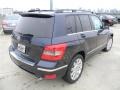 Lunar Blue Metallic - GLK 350 Photo No. 5