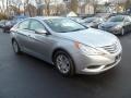 Radiant Silver - Sonata GLS Photo No. 5