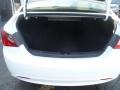 Pearl White - Sonata GLS Photo No. 20