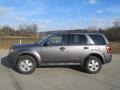 2010 Sterling Grey Metallic Ford Escape XLT V6 4WD  photo #2