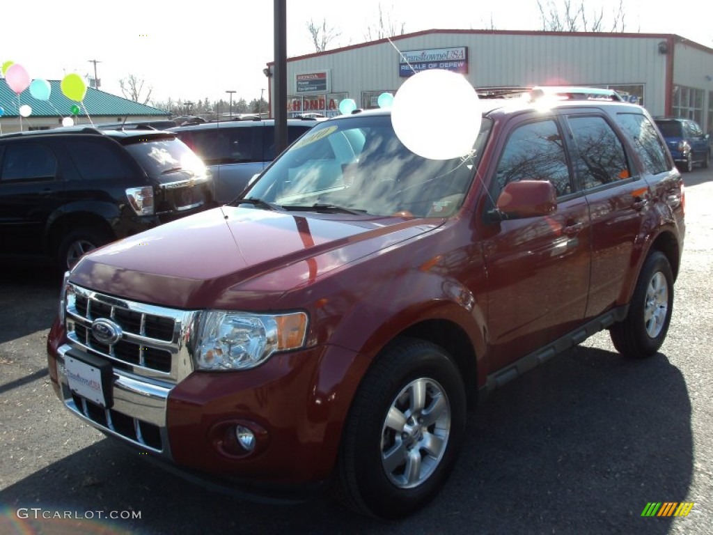 2010 Escape Limited 4WD - Sangria Red Metallic / Charcoal Black photo #22