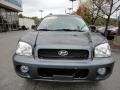 2004 Black Obsidian Hyundai Santa Fe GLS 4WD  photo #6