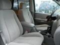 Graystone Metallic - TrailBlazer LS 4x4 Photo No. 13
