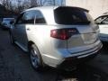 2010 Polished Metal Metallic Acura MDX Technology  photo #9