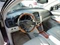 Flint Gray Mica - RX 330 AWD Photo No. 14