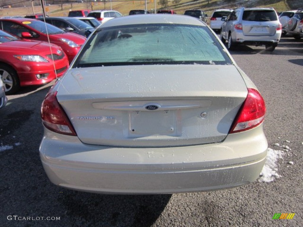 2004 Taurus SE Sedan - Gold Ash Metallic / Medium Parchment photo #5