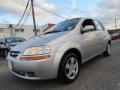 Cosmic Silver 2007 Chevrolet Aveo 5 LS Hatchback