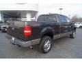 2006 Dark Stone Metallic Ford F150 XLT SuperCrew 4x4  photo #3