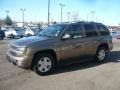 Sandalwood Metallic - TrailBlazer LTZ 4x4 Photo No. 2