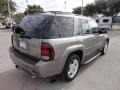 2008 Graystone Metallic Chevrolet TrailBlazer LT  photo #9