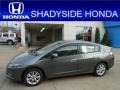 Polished Metal Metallic - Insight Hybrid EX Photo No. 1